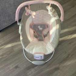 Baby Bouncer