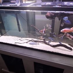 Aquarium