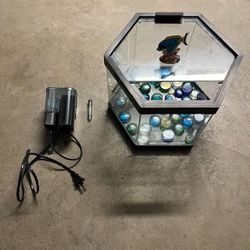 fish tank with water filter