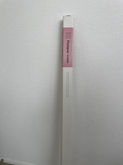 NEW Pampas Grass Set (pack Of 3)