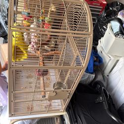 Bird Cage 