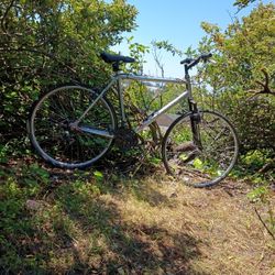 Diamondback Outlook Bicycle 