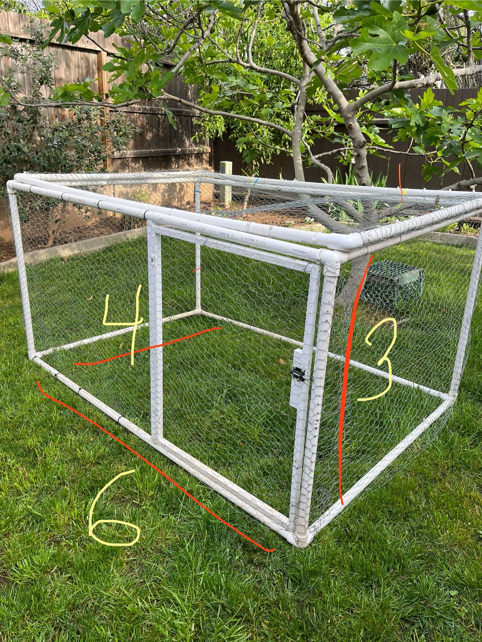 PVC/Chicken Wire Coop Run