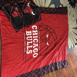 Bulls Queen Comforter W/ 2 Pillow Shams 