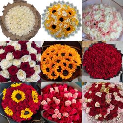 Roses 🌹 Ramos