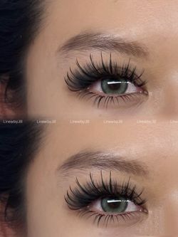 Wispy Volume Lashes