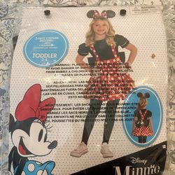 Minnie Costume