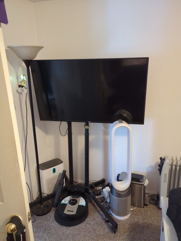 Vizio TV With Stand