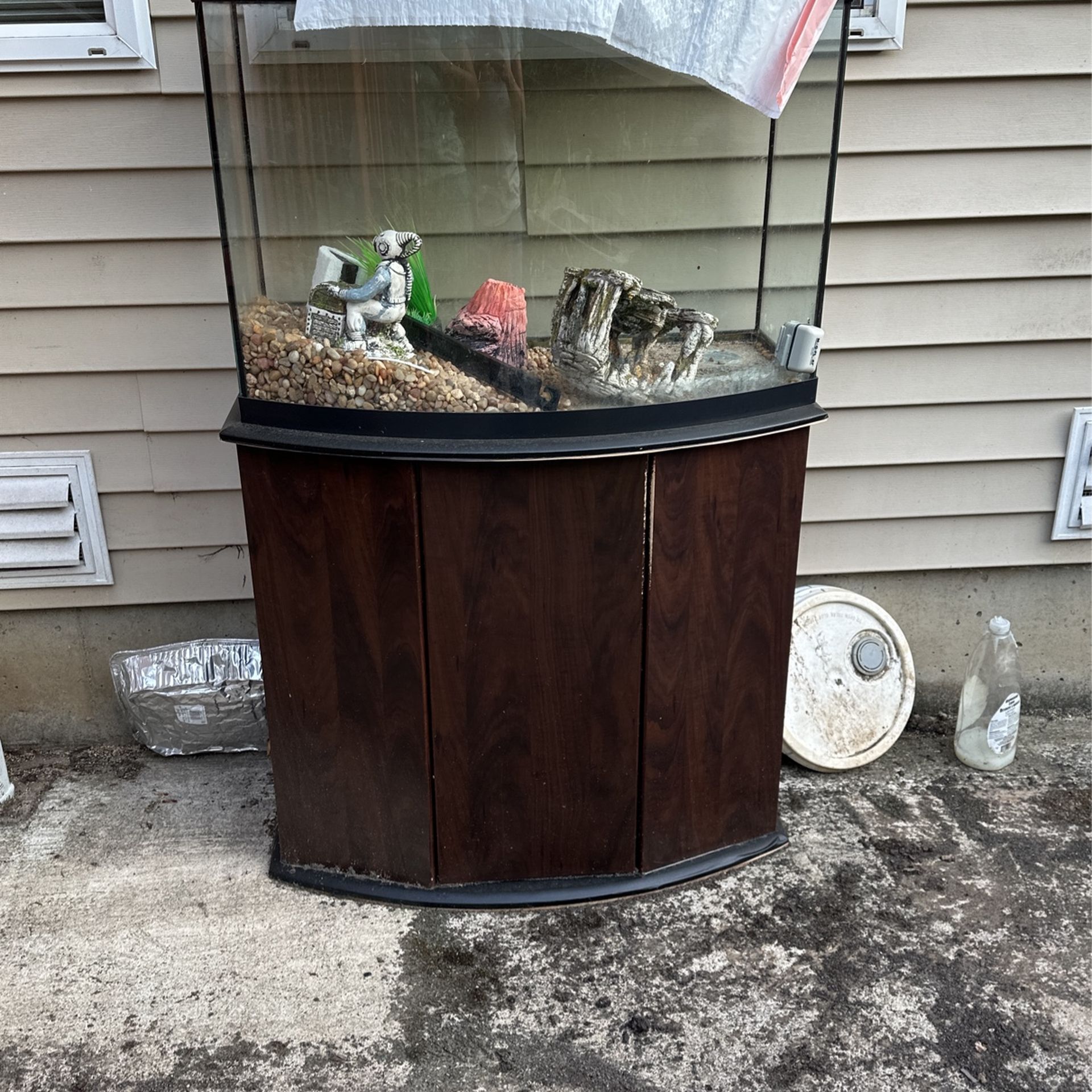 Fish Tank 