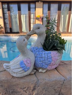 Mother’s Day Succulent plants