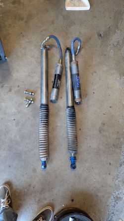 Fox shocks