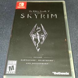 Skyrim Switch