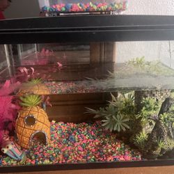 fish tank 