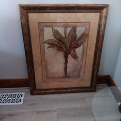 Banana Plant pantry picture