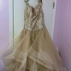 Sweet 16/Quinceanera Dress 