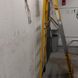 8 Foot Ladder