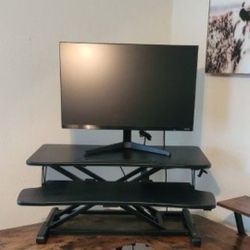 Standing Desk/Computer 