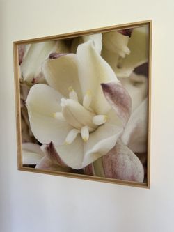 Vintage Floral Canvas