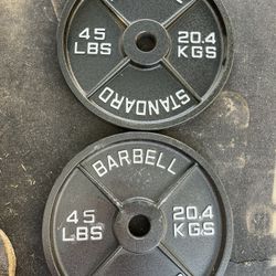 Rogue 45lb Standard Barbell Olympic Weight Plate Set