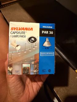 Sylvania Capsylite PAR30  lightbulb