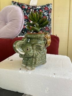 Large Elephant with a live Gollum Jade Plant $45.0 OBO