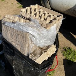 Empty Egg Cartons