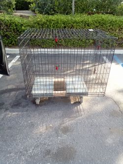 Kennel for large dogs