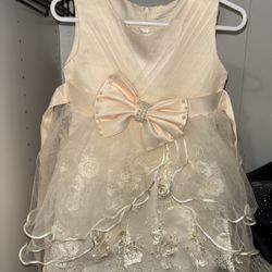 Baby Girl Gown Flower Embroidery Tutu Dress