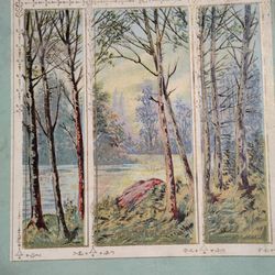 Vintage Women's Handkerchief And Linen