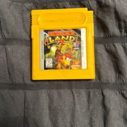 Donkey Kong Island 2 