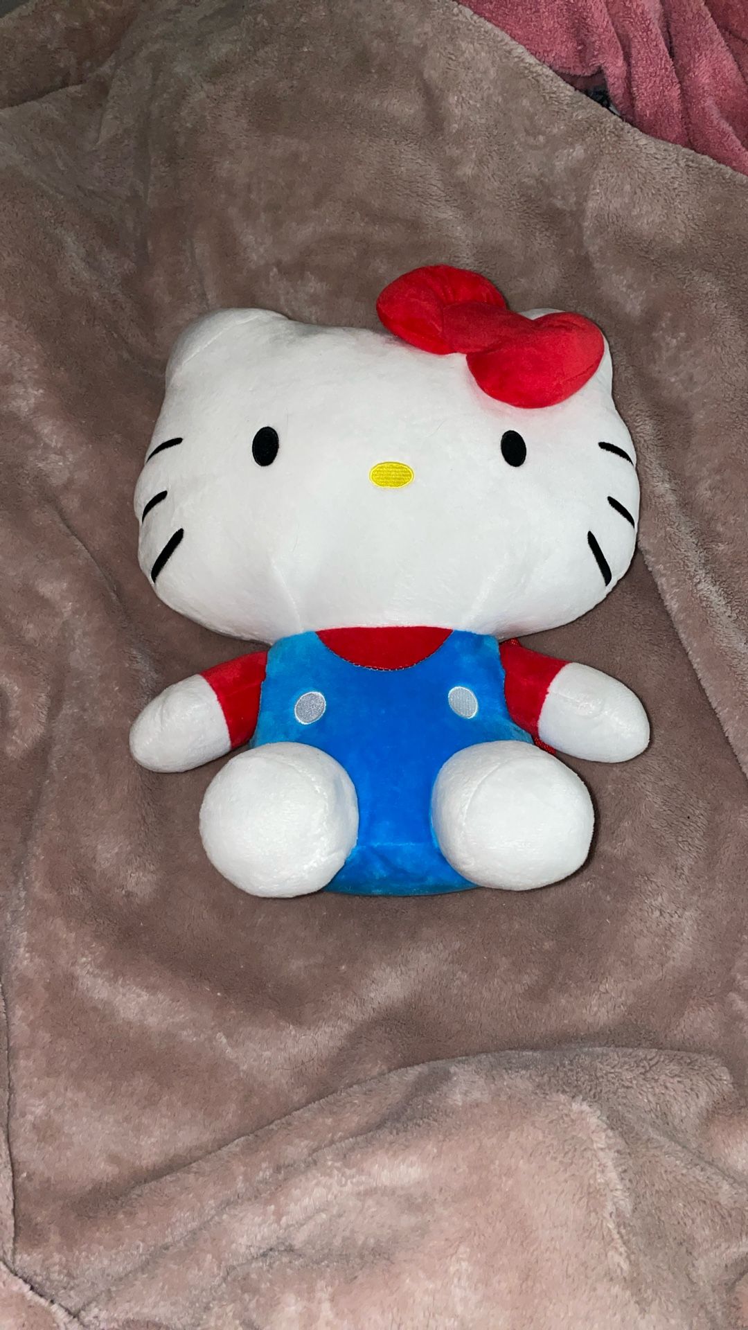 Big Hello kitty stuff animal/plushy.