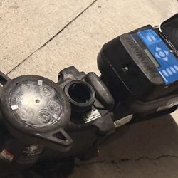 Pool Pump 