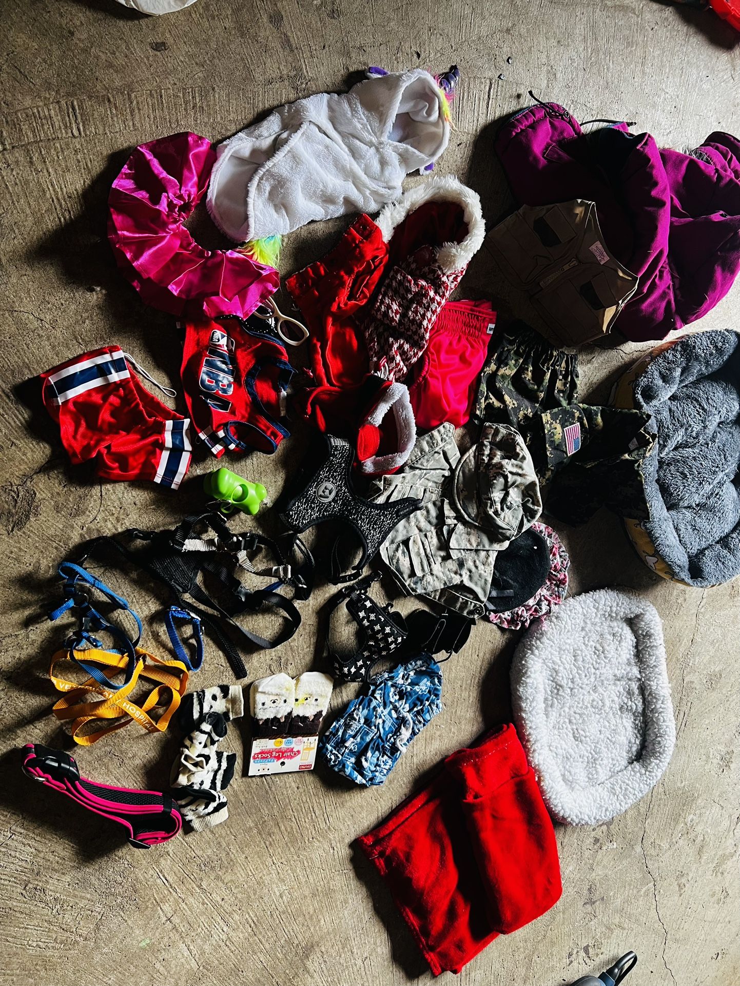Clothe For Small Dog