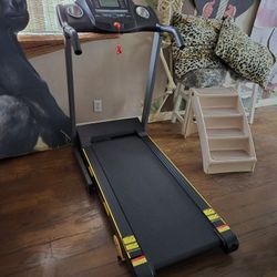 6 Month Old Treadmill