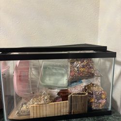 Hamster full set starter kit