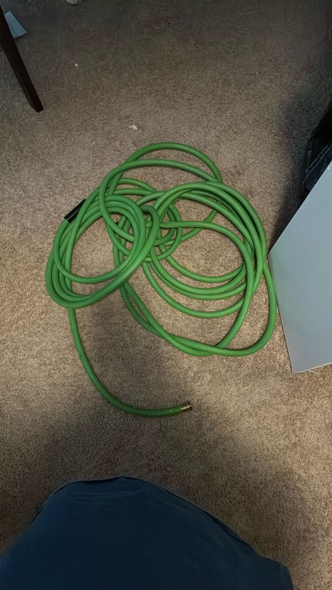 Garden Hose