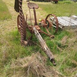 Yard Art