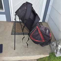 Stand bag with back straps