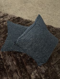 Set Of 2 Pillows