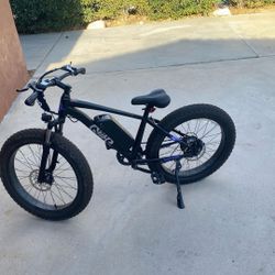 Electric Bicycle 