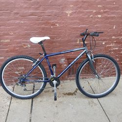 24" Treak Montain Bicycle