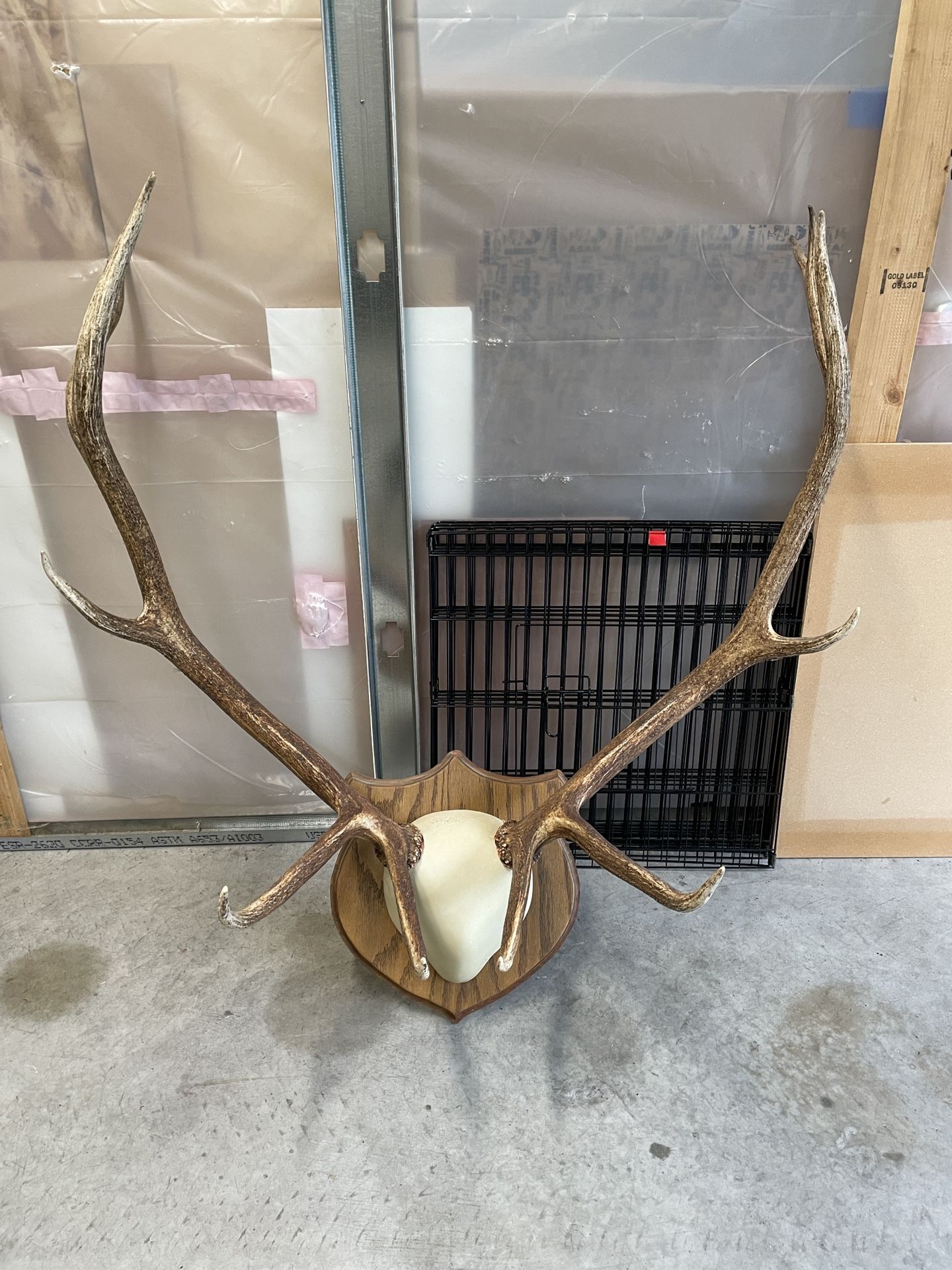 6pt Elk Rack