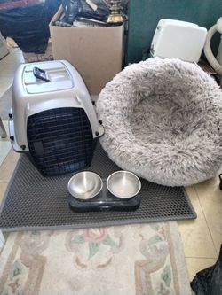 Pet Carrier And Accessories 