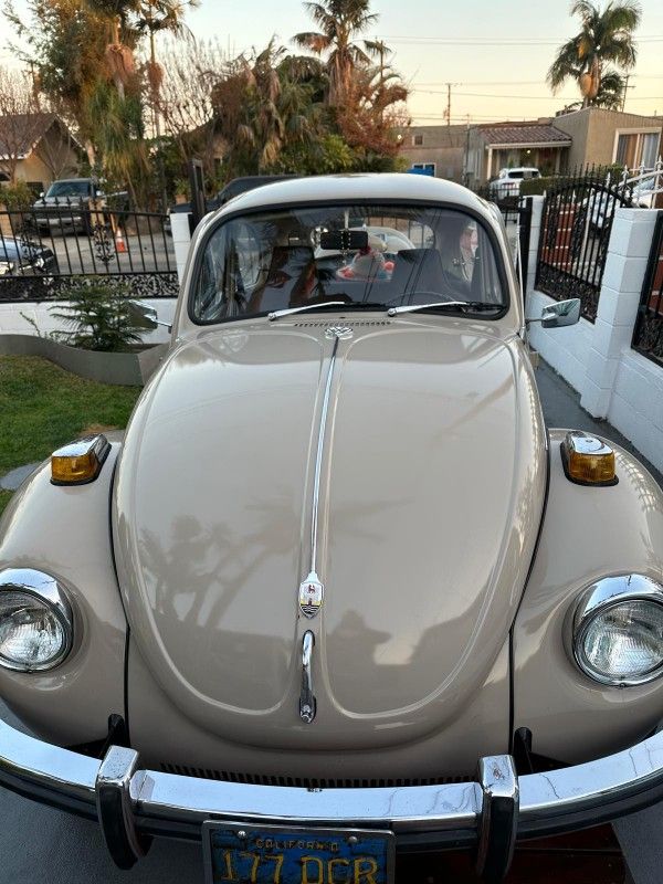 1971 VW Bug