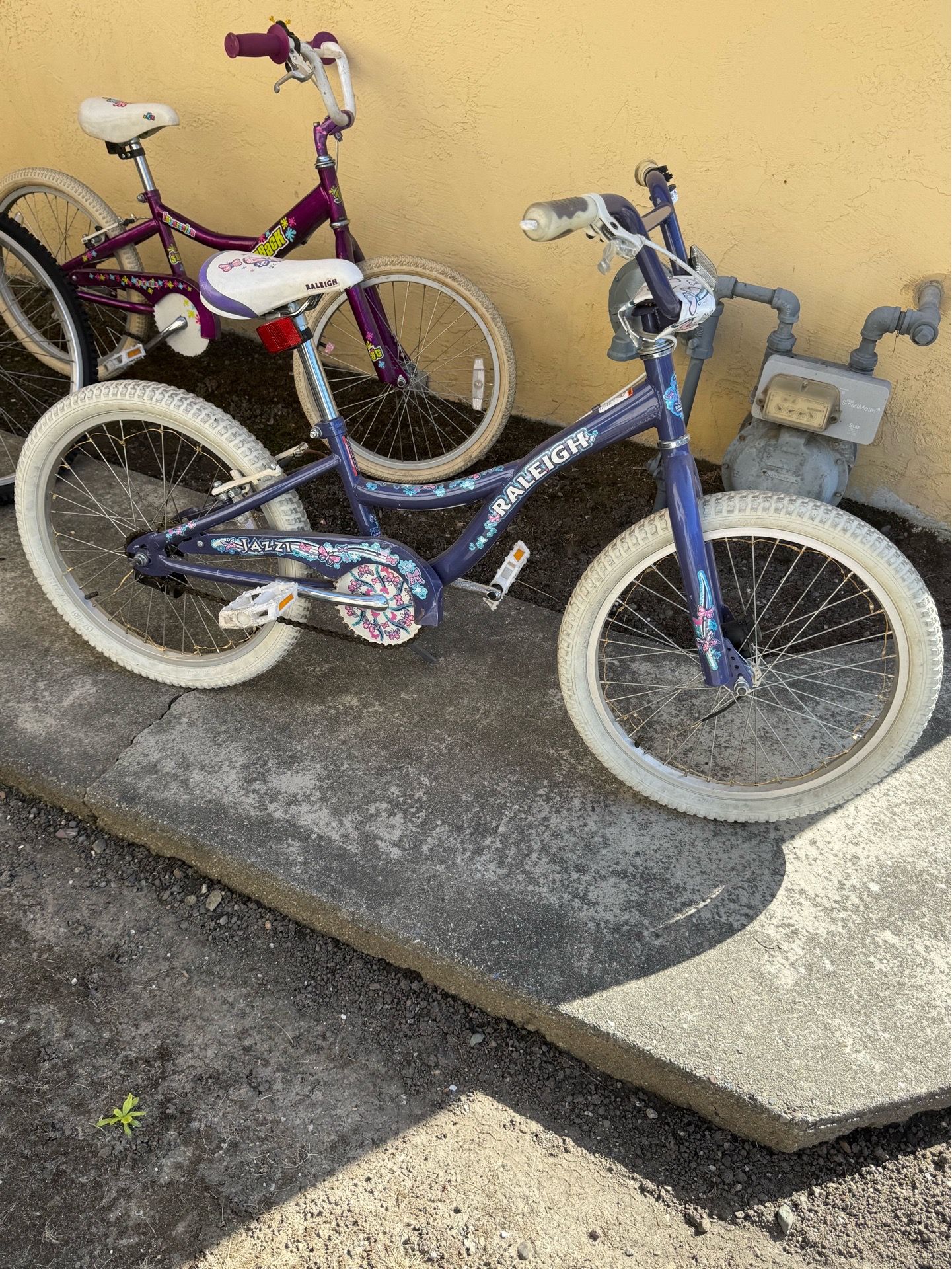 Raleigh Kids Bike with Lights