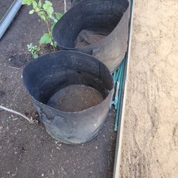 Grow Bags