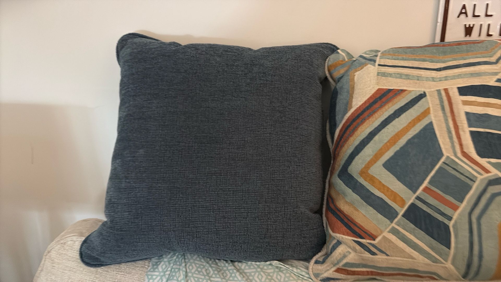 New-Couch Pillows 4 - Brand New