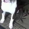 Francisca 