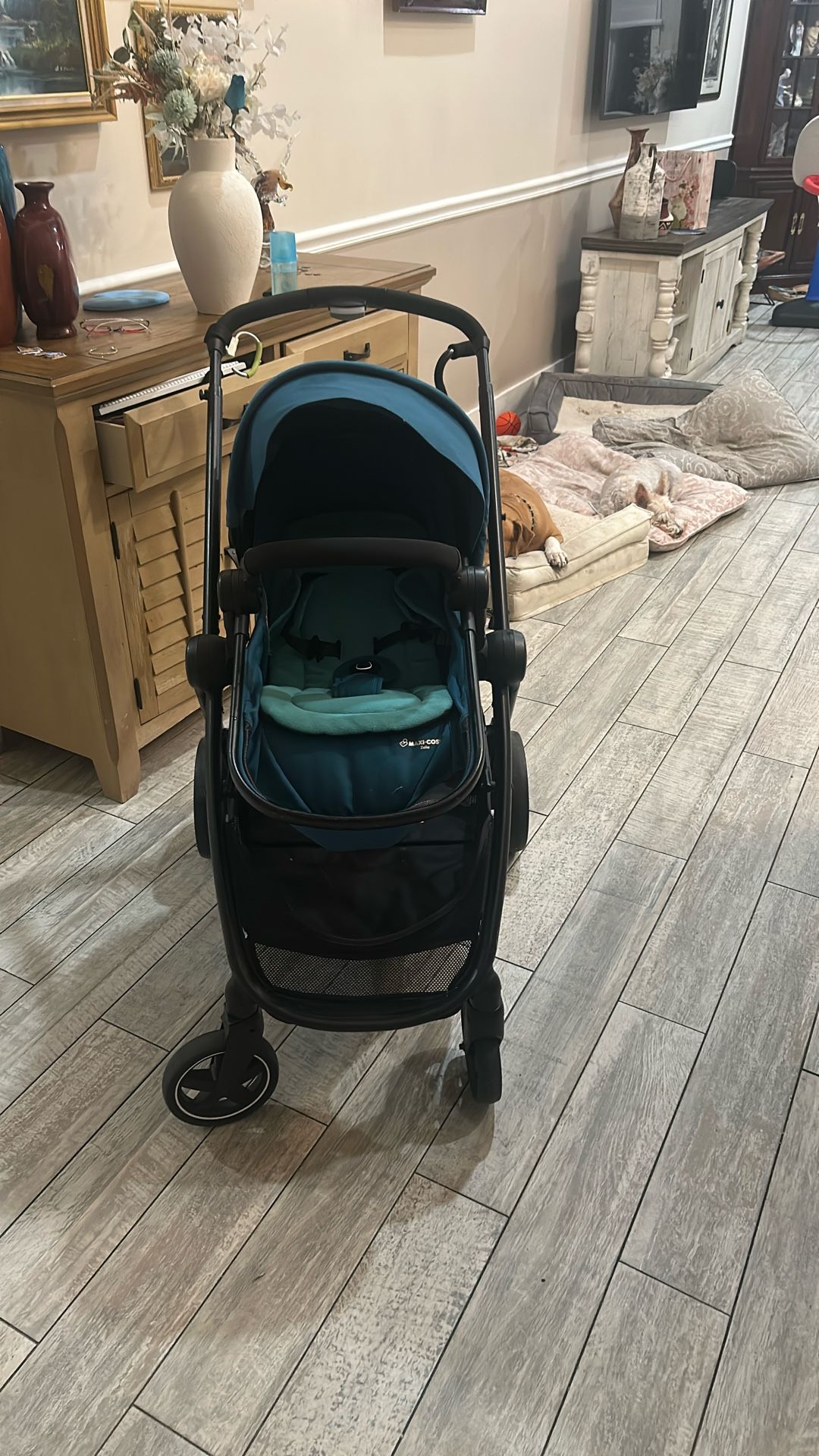 Stroller Maxi Cisco