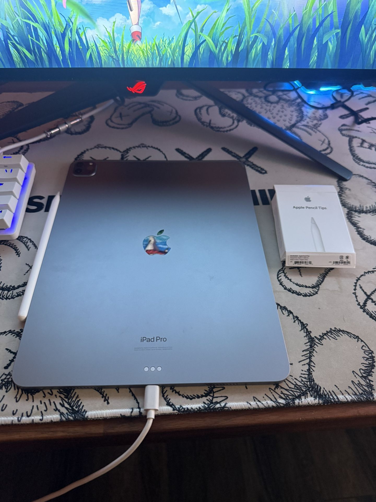 Apple iPad Pro M2 12.9 256gb